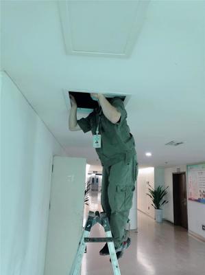 专业灭鼠，守护健康——广汉工厂灭鼠服务咨询与信息指南